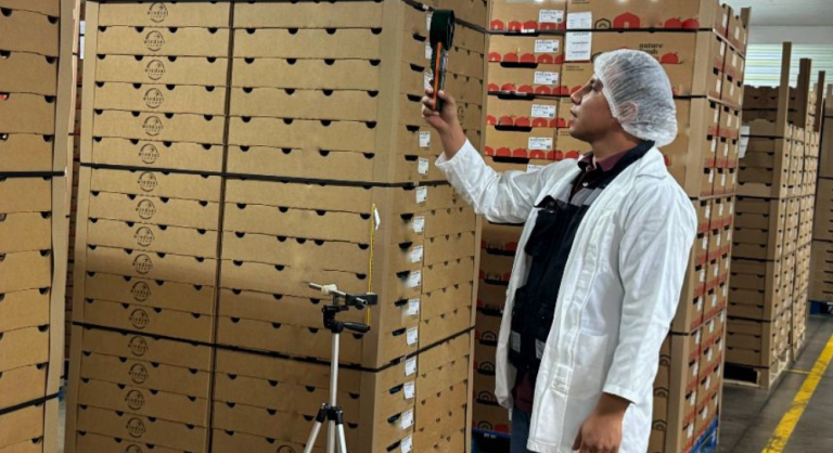 Sitio Web Portafolio y Curriculum Propiedad Inmobiliaria Blanco y Naranja (3)